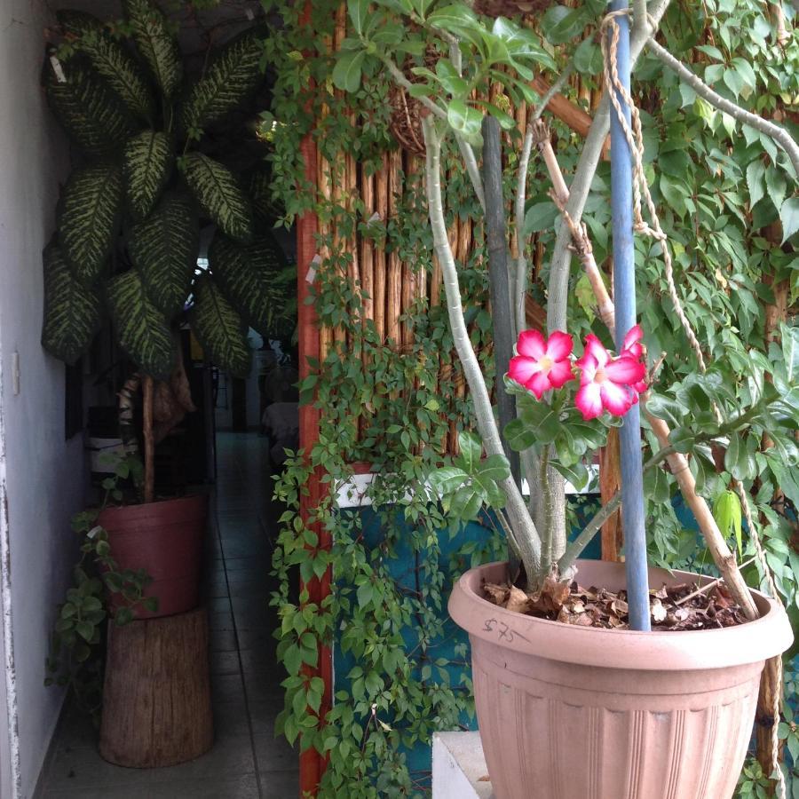 Alojamiento Ya'Ax Nah Playa del Carmen Ngoại thất bức ảnh