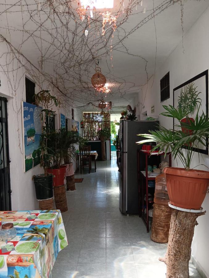 Alojamiento Ya'Ax Nah Playa del Carmen Ngoại thất bức ảnh